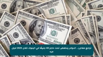 تراجع مفاجئ..  الدولار ينخفض تحت حاجز 48 جنيهًا في البنوك خلال 2025 لأول مرة